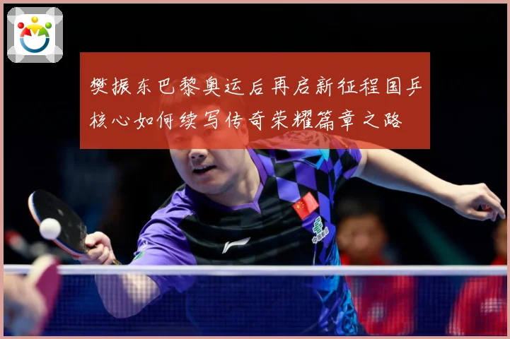 樊振东巴黎奥运后再启新征程国乒核心如何续写传奇荣耀篇章之路
